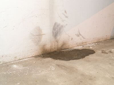 Professional mold removal services in Salina